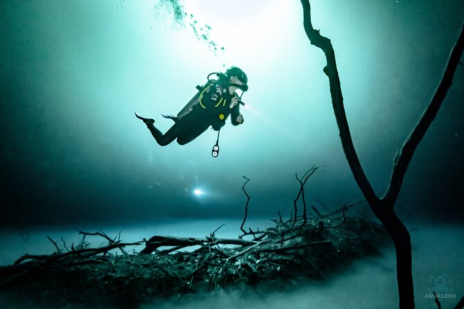 2 cenote divings (including one deep diving) for advanced divers in Tulum - Pit Cenote in Tulum: the sulfur cloud, halocline, and cavern feeling