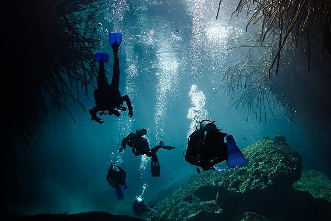 2 cenote divings (including one deep diving) for advanced divers in Tulum - Who this tour fits best, and who should skip it