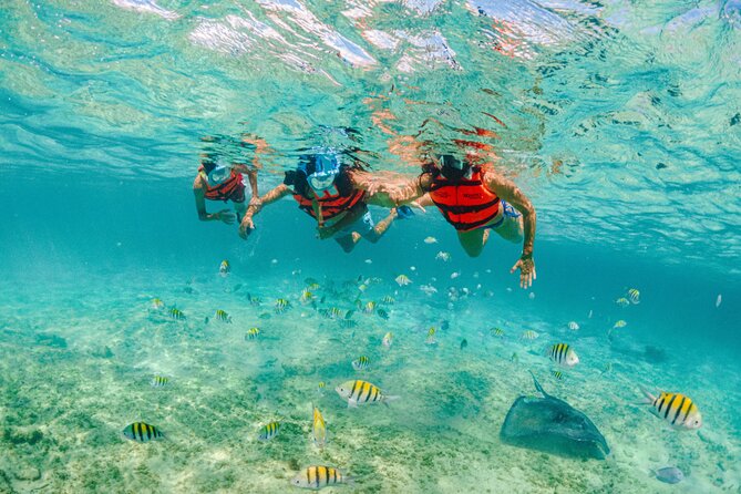 2 Day Combo Tour, Xcaret, Xel-Ha, Xplor and Chichen Itza Option - Xel-Ha by Xcaret: snorkel in a natural aquarium, then graze all day
