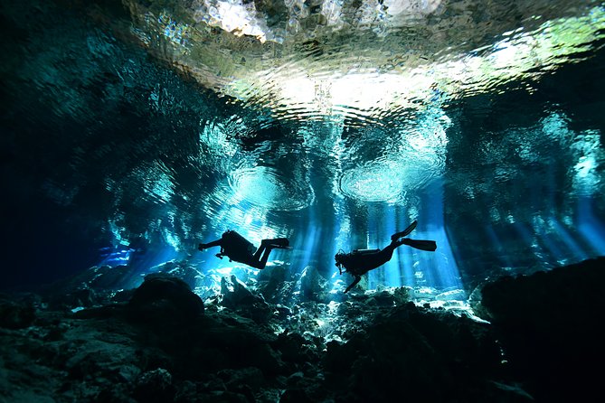 2 dives in Cenote Dos ojos Certified Divers - Key Things to Know Before You Go