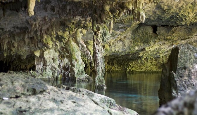 2 dives in Cenote Dos ojos Certified Divers - Cenote Dos Ojos Day Trip Basics: Timing and Getting There