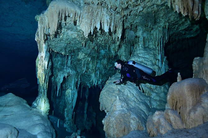 2 dives in Cenote Dos ojos Certified Divers - Between Sessions: Snacks, Lunch, and Refuel Time