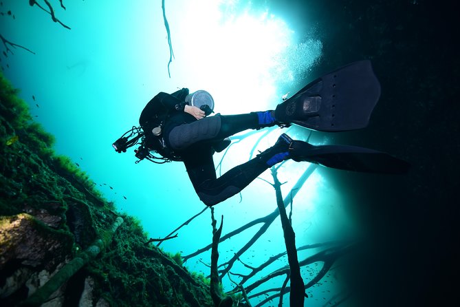 2 dives in Cenote Dos ojos Certified Divers - Guides You Might Meet, and What They’re Praised For