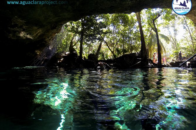 2 dives in Cenote Dos ojos Certified Divers - Price and Value: What $200 Really Covers