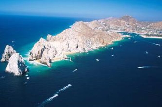 2 Dives in the Cabo Marine Park - Key highlights worth caring about