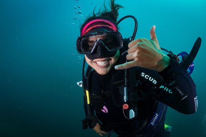 2 Dives in the Cabo Marine Park - Small-group diving: what it changes on a real schedule