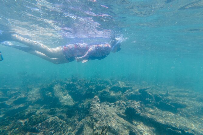 2-Hour Snorkeling in Two Spots of Tulum's Reef - Meeting point reality check: Jaguar Park can slow you down