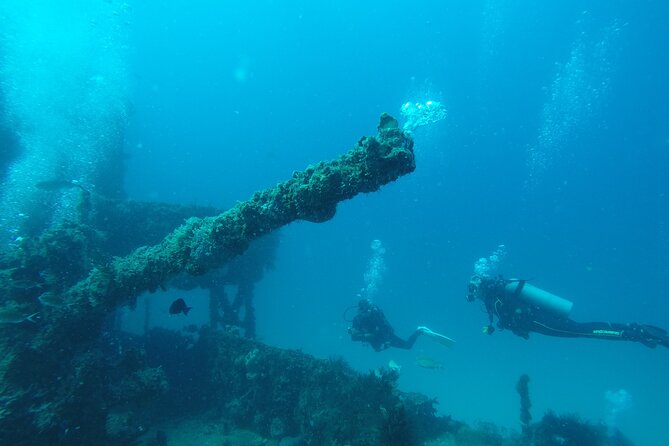 2 Tank Reef Dive in Mexico - Puerto Morelos Reef National Park, the real reason to come