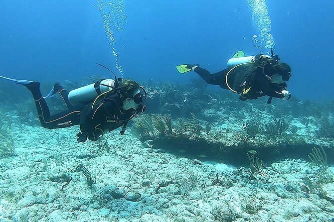 2 Tank Reef Dive in Mexico - Morning or afternoon check-in, and how the day moves
