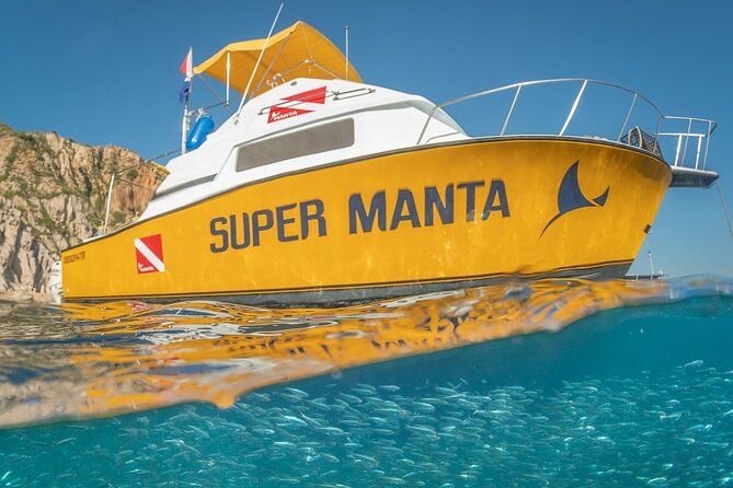 2-Tank Scuba Dive in Cabo San Lucas Reserve for Certified Divers - Why the Sea of Cortez feels like Cabo’s best underwater classroom