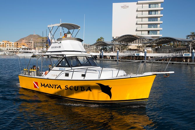 2-Tank Scuba in Marine Reserve and Corridor for Certified Divers - Meeting at 7:30 am in Centro, and what to do before you leave