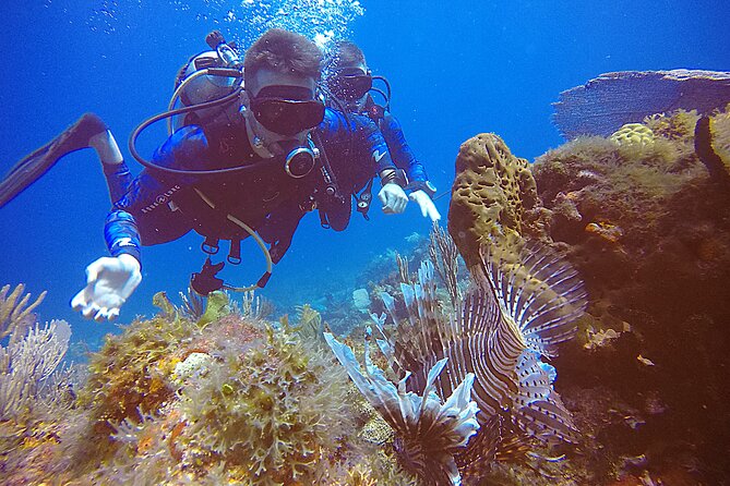 2 Tanks Scuba Diving in Punta Cancun Reefs for Certified Divers - A Half-Day Boat Plan to Punta Cancun Reefs (Two Underwater Sessions)