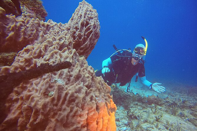 2 Tanks Scuba Diving in Punta Cancun Reefs for Certified Divers - Gear That’s Taken Care Of for You (So You Don’t Over-Pack)