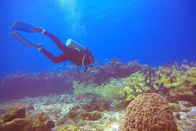 2 Tanks Scuba Diving in Punta Cancun Reefs for Certified Divers - Equipment Rules and Reef-Friendly Behavior (Yes, It Affects Your Packing)