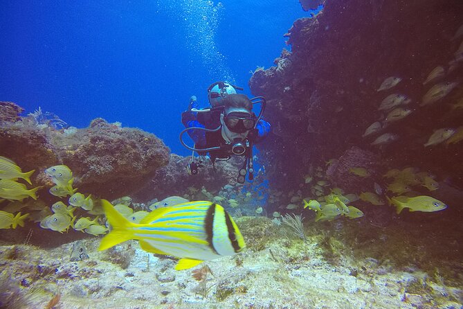 2 Tanks Scuba Diving in Punta Cancun Reefs for Certified Divers - Check-In at Hotel Sotavento Cancun and the Pre-Water Steps