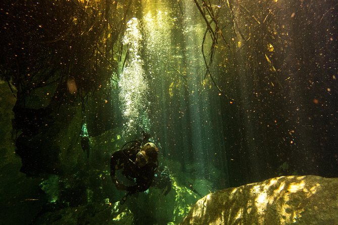 3 Cenote Dives - Casa & Dos Ojos - Meals built into the rhythm: breakfast, snacks, then lunch during the day