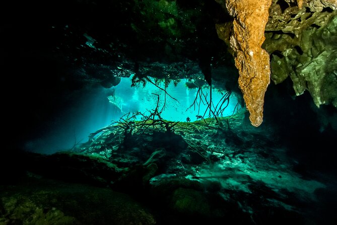 3 Cenote Dives - Casa & Dos Ojos - PADI-led care and the safety vibe that reviewers call out