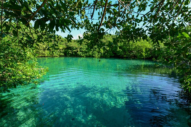 3 Cenote Dives - Casa & Dos Ojos - Value and logistics: why this format usually works well