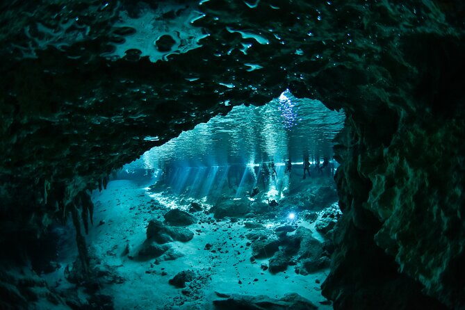 3 Cenote Dives - Casa & Dos Ojos - Dos Ojos: two sessions that add variety without adding chaos