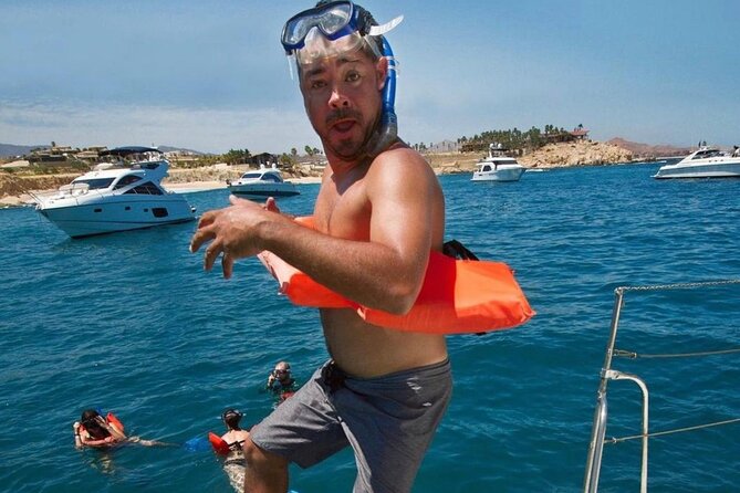 3 hour Snorkeling and Catamaran in Cabo San Lucas - Wildlife and whales: a bonus that can happen on the way