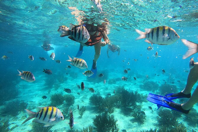 3 Hours VIP Semiprivate Tour Isla Mujeres Full Snorkeling Experience - Key points to know before you go