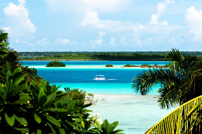 3 hr Pontoon Tour with access to Beach Club and Free Kayaks - Beach Club Access and Free Kayaks: Why This Combo Is the Real Value