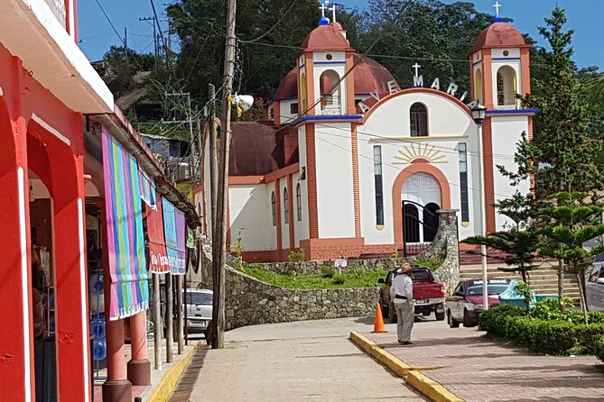 3 Levels of Huatulco the coffee you've been looking for - The farm lessons: from seed to drink (and why you should care)
