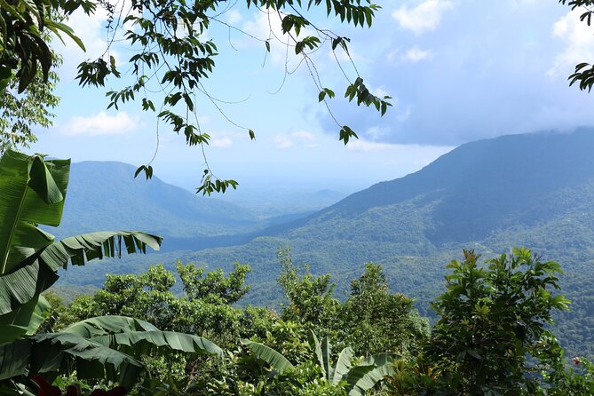 3 Levels of Huatulco the coffee you've been looking for - Your guide experience: why the human factor is a big deal