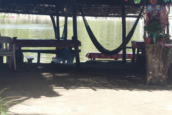 3 Palos Lagoon AfroMex Village Turtle Release & Croc Farm Visit - Why this turtle and lagoon day works so well