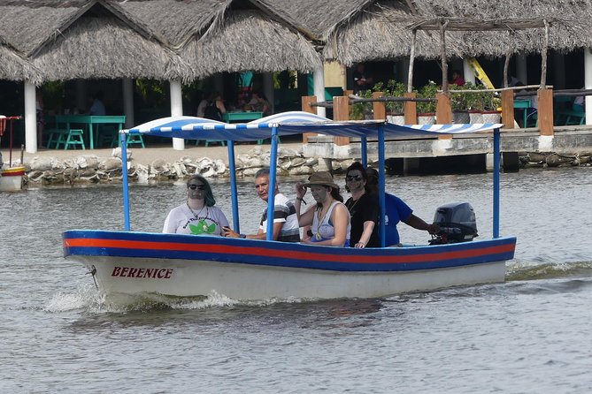 3 Palos Lagoon AfroMex Village Turtle Release & Croc Farm Visit - Price and value: why $115 can make sense here