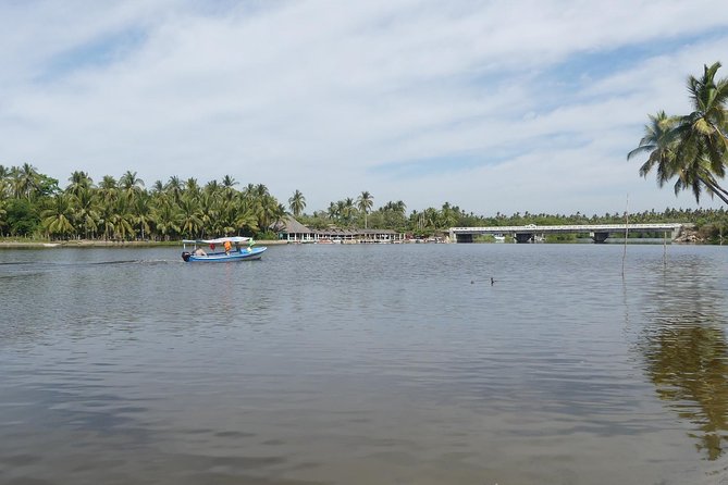 3 Palos Lagoon AfroMex Village Turtle Release & Croc Farm Visit - What the timing feels like, from start to finish