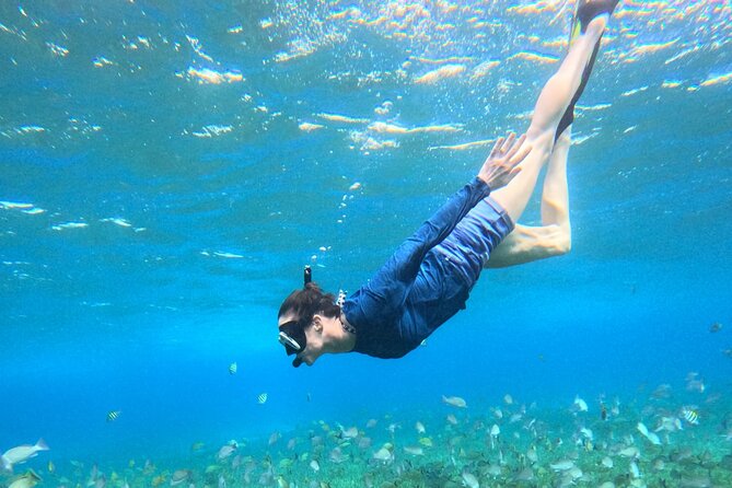4 Hour Cozumel Turtle Sanctuary Experience on a Luxury Catamarán - Turtle Sanctuary snorkeling: how to boost your chances