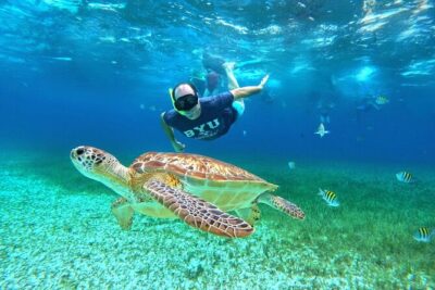 4 Hour Cozumel Turtle Sanctuary Experience on a Luxury Catamarán