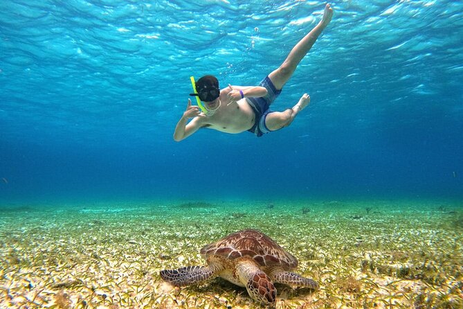 4 Hour Cozumel Turtle Sanctuary Experience on a Luxury Catamarán - Cielito Little Heaven sandbank: snacks, drinks, and standing-in-water fun