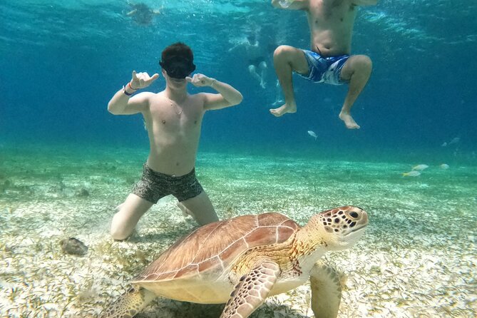 4 Hour Cozumel Turtle Sanctuary Experience on a Luxury Catamarán - Food and drinks: what’s included and what to expect