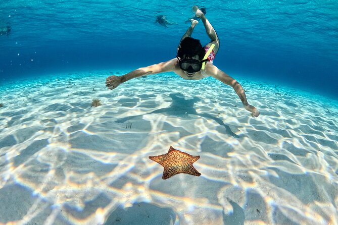 4 Hour Cozumel Turtle Sanctuary Experience on a Luxury Catamarán - Snorkeling gear, reefsafety, and a big practical note about sunscreen