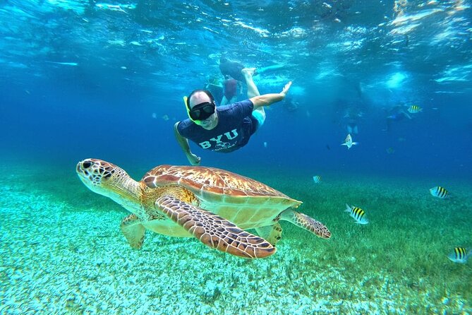 4 Hour Cozumel Turtle Sanctuary Experience on a Luxury Catamarán - The 4-hour flow: reef stops, snack breaks, and sunset vibes