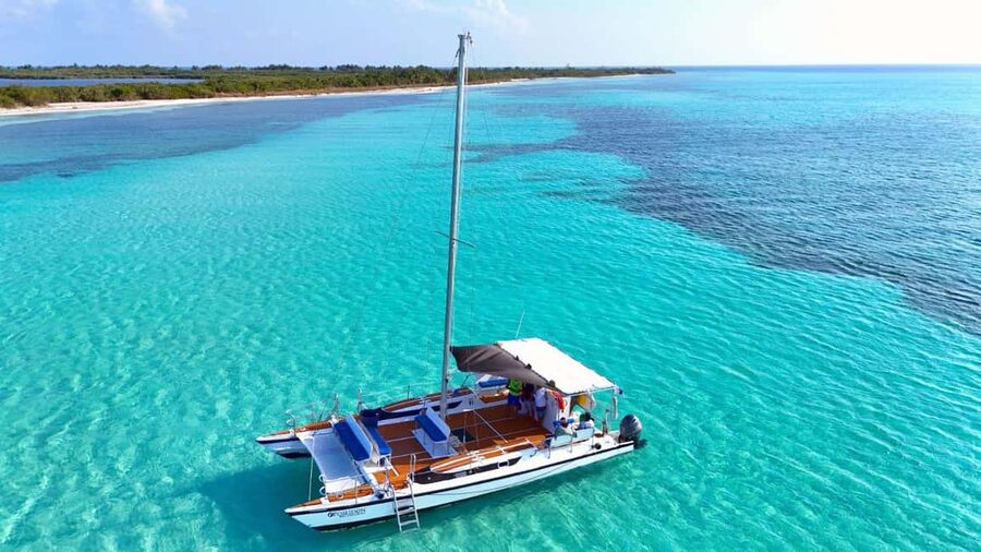 4 Hour Turtle Sanctuary Experience on a Luxury Catamarán - Key Takeaways Before You Go