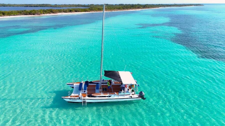 4 Hour Turtle Sanctuary Experience on a Luxury Catamarán - Luxury Catamaran Comfort Before You Hit Cozumel’s Reefs
