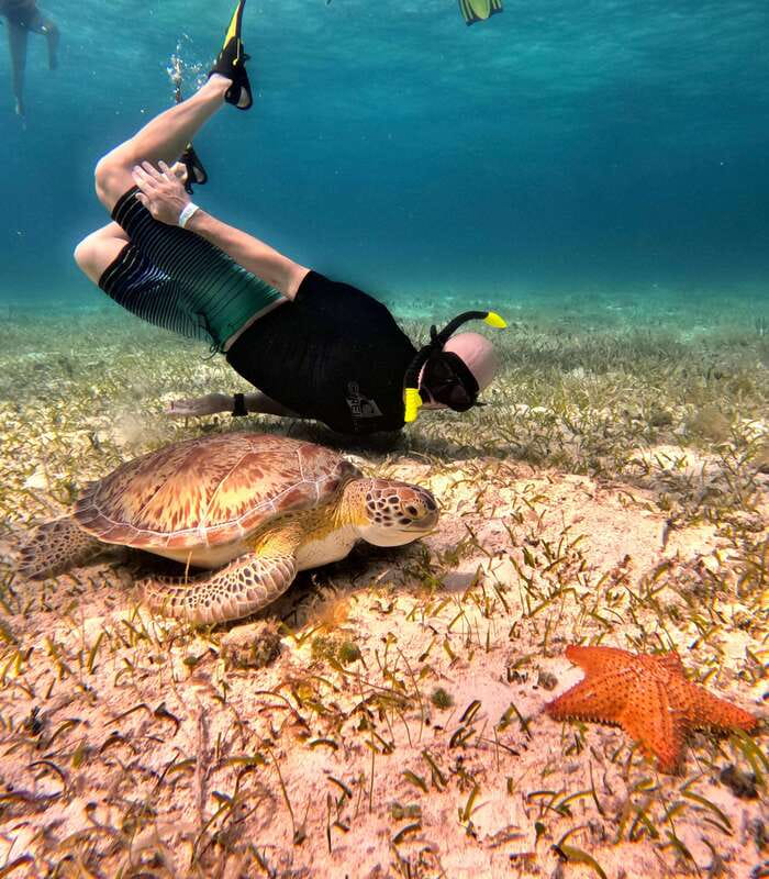 4 Hour Turtle Sanctuary Experience on a Luxury Catamarán - Cielito Little Heaven: Relax Time That Feels Like the Payoff