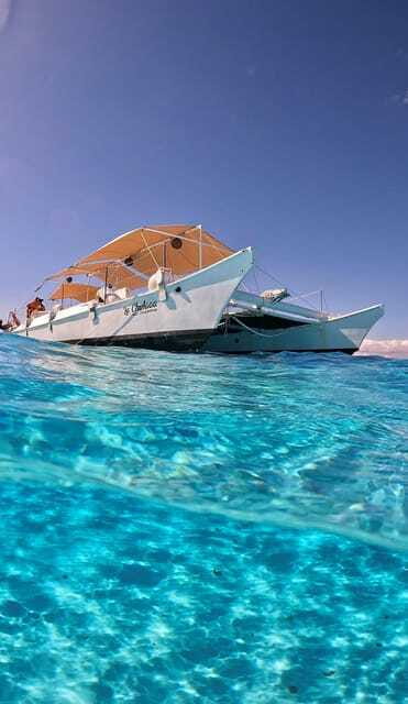 4 Hour Turtle Sanctuary Experience on a Luxury Catamarán - Who This Tour Fits Best, and Who Should Skip It