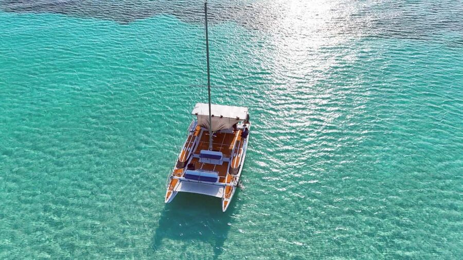 4 Hour Turtle Sanctuary Experience on a Luxury Catamarán - Cozumel Turtle Sanctuary Snorkeling: Your Best Shot at Seeing Green Turtles