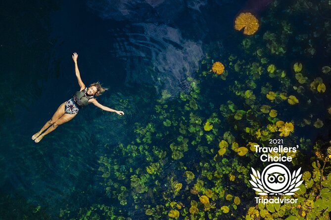 4-in-1 Cenote Tour Guided Experience with Breakfast, Lunch & Wine - Jungle Picnic Lunch with Wine and Beer, Plus the Food Reality Check