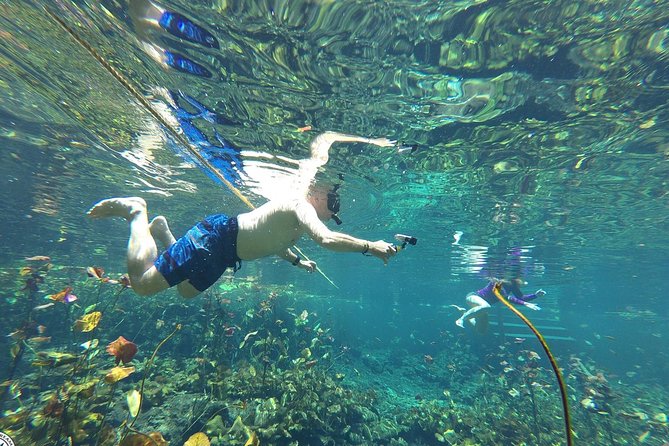 4 Private Cenotes, Zip-Lines, Canoes & Mayan Village with Delicious Lunch - The Mayan village lunch: where the day turns from thrill to tradition