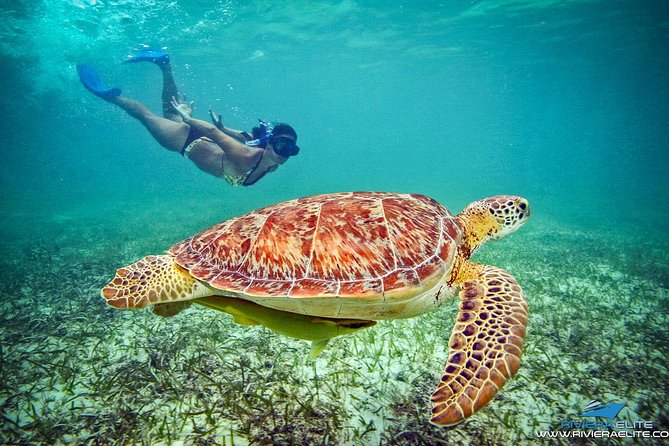 4H Private 38'Catamaran All-Inclusive in Tulum & Playa del Carmen - What the 4 Hours Feels Like: A Timeline You Can Actually Picture