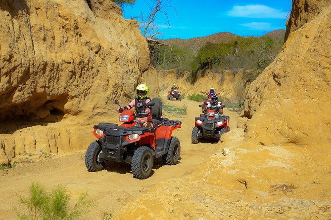 4x4 ATV Adventure with Tequila Tasting and Mexican Buffet Lunch - Lunch at the Ocean-Front Restaurant: Unlimited Buffet and Quesadillas