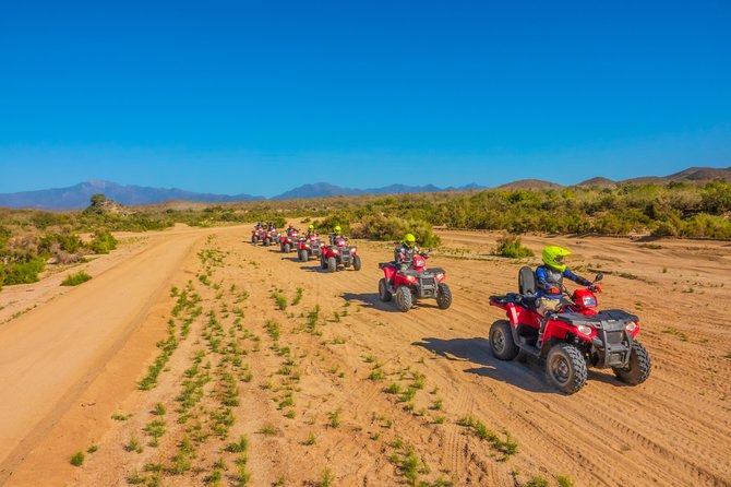 4x4 ATV Adventure with Tequila Tasting and Mexican Buffet Lunch - Tequila and Mezcal Tasting: A Short, Fun Finish
