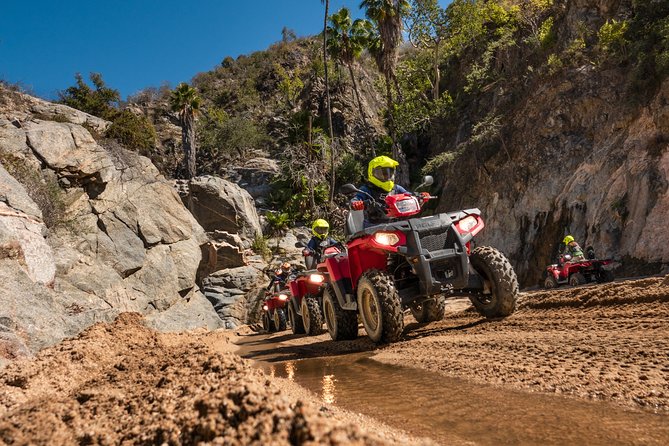 4x4 ATV Adventure with Tequila Tasting and Mexican Buffet Lunch - Real Costs: $75 Is Just the Starting Point