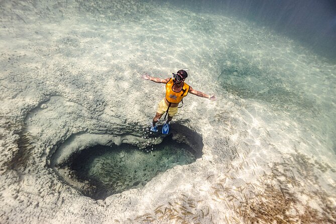 5-in-1 Cancun Snorkeling Tour with Sea Life & Transport Included - Key highlights in plain English
