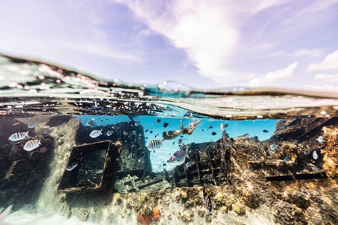 5-in-1 Cancun Snorkeling Tour with Sea Life & Transport Included - Stop four: a shipwreck in clear water with coral and colorful fish
